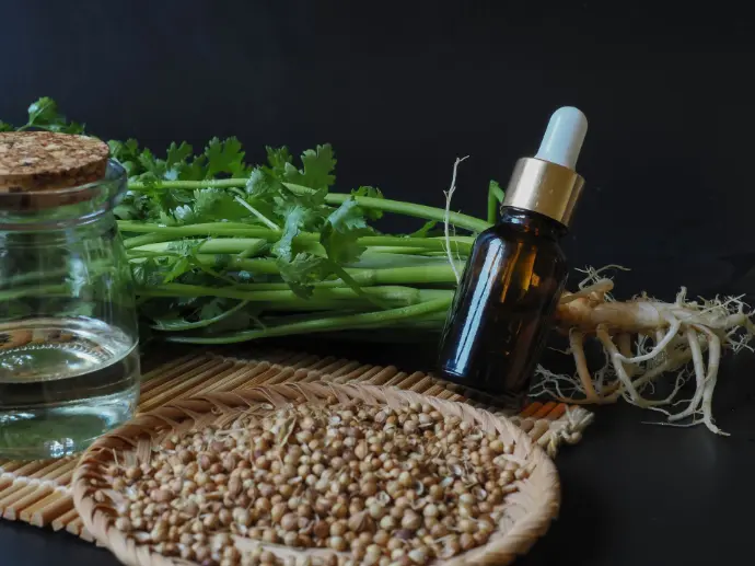 Coriander  Oleoresin