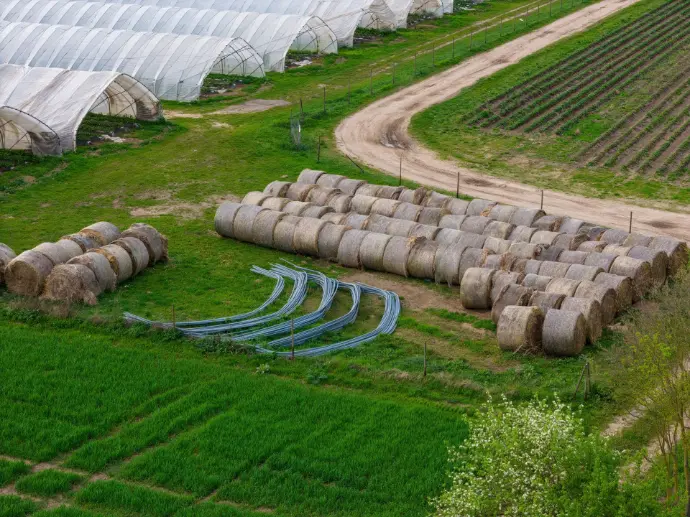 agriculture