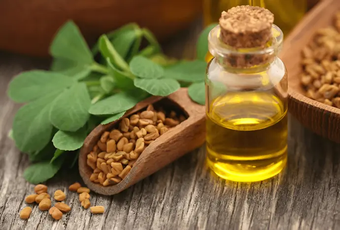 Fennugreek Oil